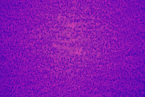Grafik tasarımı için mor arkaplan dokusu