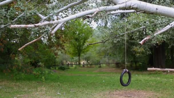 Balanços de pneus em uma corda para o entretenimento das crianças no parque . — Vídeo de Stock