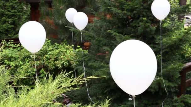 Hotelpark Grünen Mit Weißen Heliumkugeln Für Hochzeitsfeier Dekoriert — Stockvideo