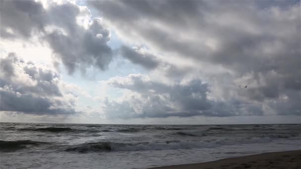 Tormenta en la playa de arena marina, nublado, el viento persigue olas y nubes . — Vídeos de Stock
