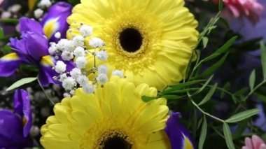 Çok renkli gerbera ve irisler dönen güzel parlak buket.