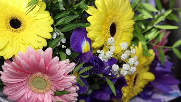 Rotating beautiful bright bouquet of multi-colored gerberas and irises. — Stock Video