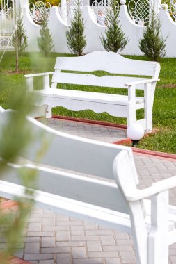 Beyaz ahşap boş banklar Şehir Parkı. 