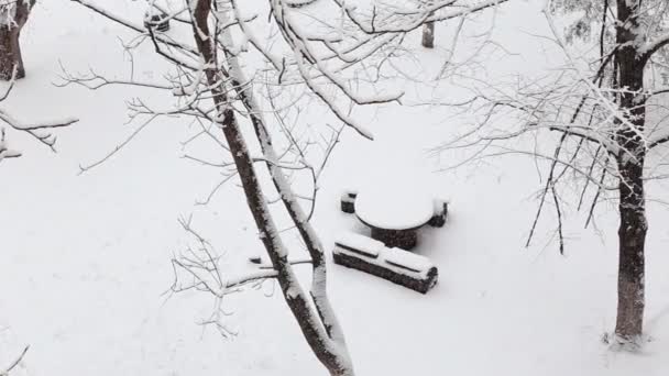 Small wooden table under a snowfall in a winter park with snow covered trees. — Stock Video