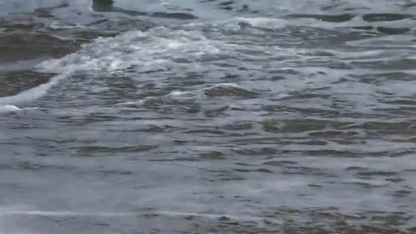 年轻女子正沿着狂风暴雨的海面靠岸散步 脚特写镜头 — 图库视频影像