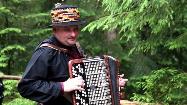 Geleneksel Hutsul müzisyen bir şarkı söylüyor ve sunumla Karpat çam ağaçları arasında ormandaki oynamaya. — Stok video