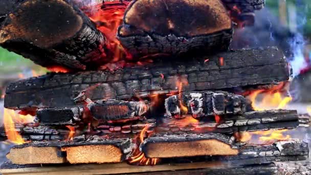 Grumes empilées dans un feu de bois dans un feu de camp gros plan . — Video