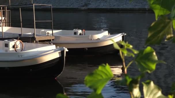 Twee Witte Plastic Boten Een Rivier Zonnige Dag — Stockvideo