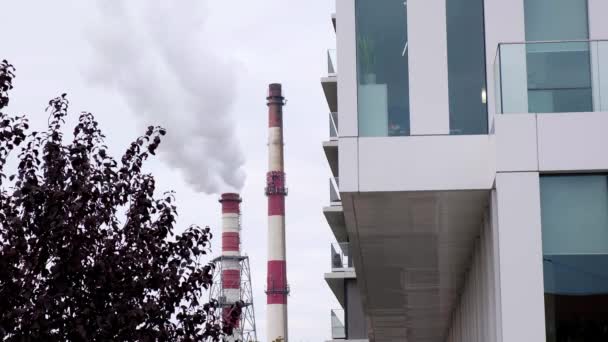 Two Pipes Heating Station Release White Steam Modern City Buildings — Stock Video