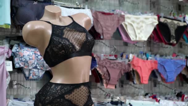 Ensemble Beaux Sous Vêtements Pour Femmes Dentelle Noire Sur Mannequin — Video