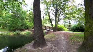 Güneşli bir yaz gününde boş bir şehir parkında nehir boyunca yürü. İnsan yok. POV.
