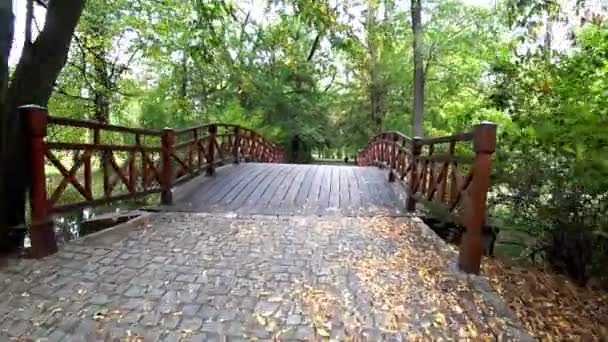 在阳光明媚的夏日 穿过一座空旷的城市公园里的一座小木桥 Pov 没有人 — 图库视频影像