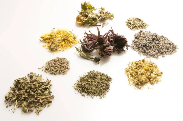 medicine concept with traditional natural herbs for medicineon white background