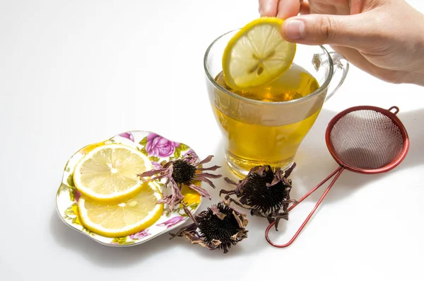 Tıbbi amaçlar için limonlu doğal otlardan çay