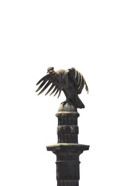 Статуя Орла Изолированная Белом — стоковое фото