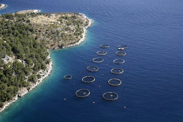 Circles on the sea — Stock Photo, Image