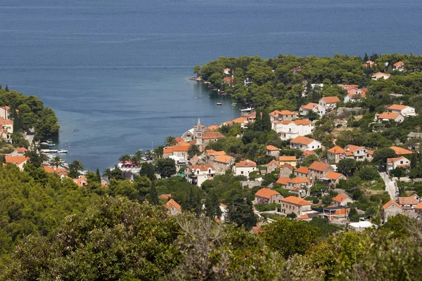 Houses in Splitska between pine and olive trees — Stock Photo, Image