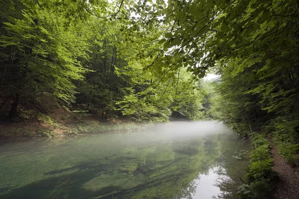 Canyon Kamacnik in Kroatië Stockfoto