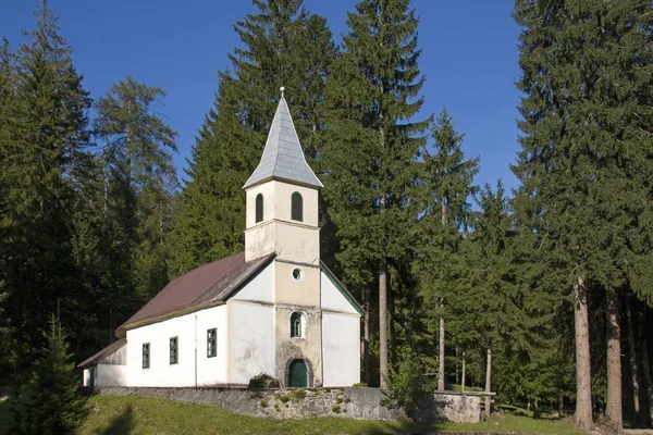 松树林中的教堂 — 图库照片