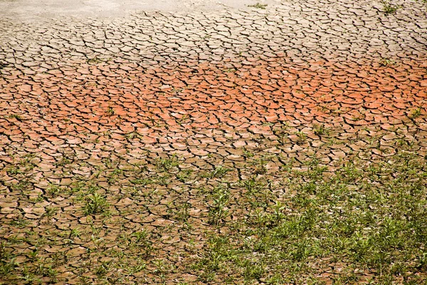 Terrain rouge fissuré pollué près de la rivière — Photo