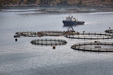 Balıkçı teknesi balık çiftliğinde Hırvatistan Island Brac erken sabah