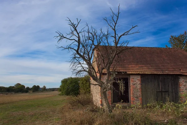 Старый заброшенный амбар и мертвое дерево. Заброшенные фермерские здания с выветривающейся стеной . — стоковое фото