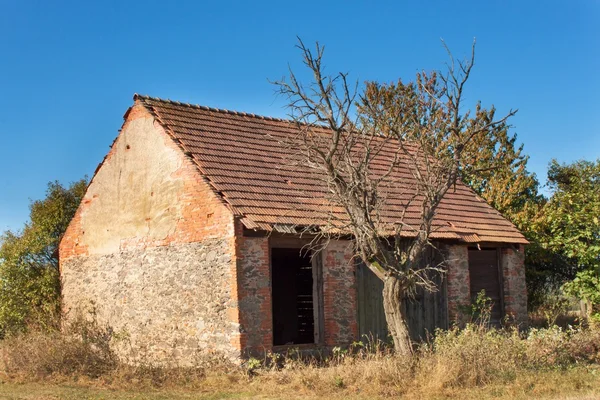 Old barn and tree against blue sky background. Abandoned farm buildings with weathered wall. — Stock Photo, Image