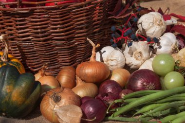 Sebze ve elma sepetinde. Ev bahçesinde sonbahar günü. Diyet için sağlıklı gıda. Güneşli bir gün.