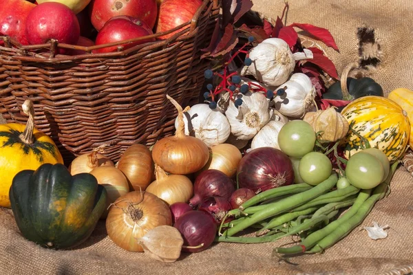 바구니에 야채와 사과. 홈 가든에서 가을 날입니다. 다이어트를위한 건강한 음식. 화창한 날. — 스톡 사진