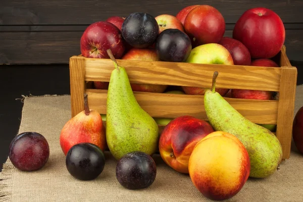 Ciruela y manzanas sobre mesa de madera. Frutas de otoño. Cosecha de otoño en la granja. Una dieta saludable para los niños . — Foto de Stock