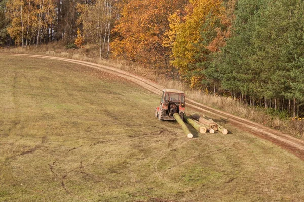 トラクターは、倒れた木を引っ張る。森林での作業。トラクターは、森の木を伐採を横滑りです。集材材. — ストック写真
