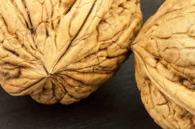 Bir ceviz kabuğunun yapısını ayrıntılı görünümünü. Süper gıdalar insan beyni için. Sağlıklı ceviz. Taze ceviz