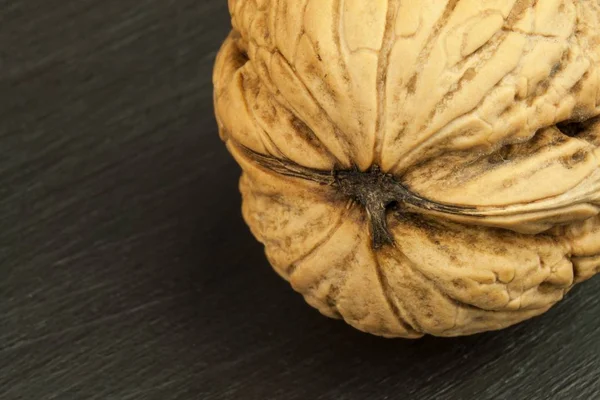Подробный обзор структуры оболочки грецкого ореха. Супер-продукты для человеческого мозга. Здоровые орехи. Свежие орехи — стоковое фото