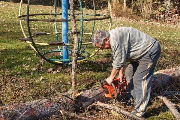 El viejo cae alerce. Un leñador trabajando en un bosque. Vida activa en la vejez. Preparando leña para el invierno. Un hombre trabajando con una motosierra. Personas mayores activas . — Foto de Stock