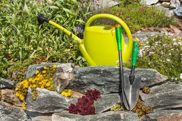 Plastic garden watering can on a blooming rockery. Gardening tools. Ornamental garden. — Stock Photo, Image