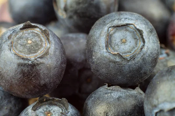 Frische Blaubeeren auf einem alten Holztisch. Hausaufgabenmarmelade. gesunde Waldfrüchte. Ernährung für Sportler. — Stockfoto