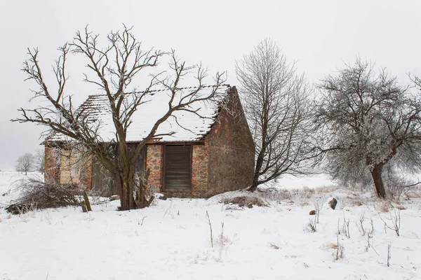 Gudang tua ditinggalkan di musim dingin. Pemandangan tertutup salju. Jalan pedesaan di musim dingin. Kabut membekukan di pohon . — Stok Foto