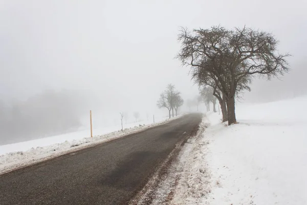 Straße im Nebel. Geheimnisvoll. verschneite Bergstraße. Eisgefahr. — Stockfoto