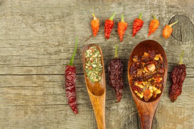 Kurutulmuş biber bir tahta kaşık üzerinde. Baharat satışı. Reklam satış için. Biber çeşitleri.