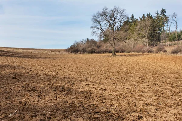 Plowed field in the Czech Republic. Spring farm work. Farm landscape. — Stock Photo, Image