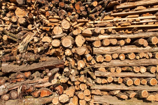 Fa a télre. Környezetbarát fatüzelés. Az erdőgazdálkodásban dolgozók. — Stock Fotó