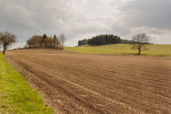 Засеянные поля в Чехии. На полях весенний пасмурный день . — стоковое фото