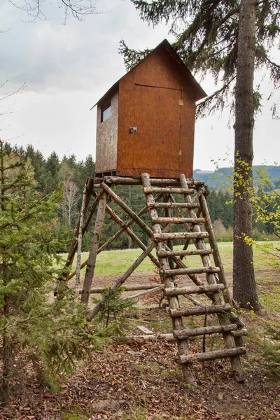 Jagd auf Verstecken im Wald. Jagdhornbläser. der hölzerne Turm. — Stockfoto