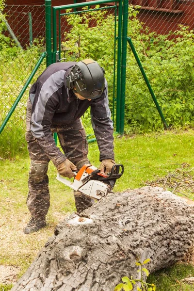 El leñador corta la motosierra. Madera profesional Cortando un gran árbol en el jardín . —  Fotos de Stock