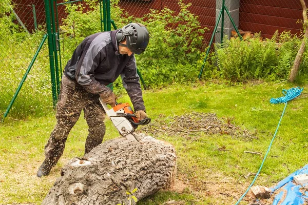 Ξυλοκόπος κόβει το αλυσοπρίονο. Επαγγελματική κοπή ξυλοκόπος ένα μεγάλο δέντρο στον κήπο. — Φωτογραφία Αρχείου