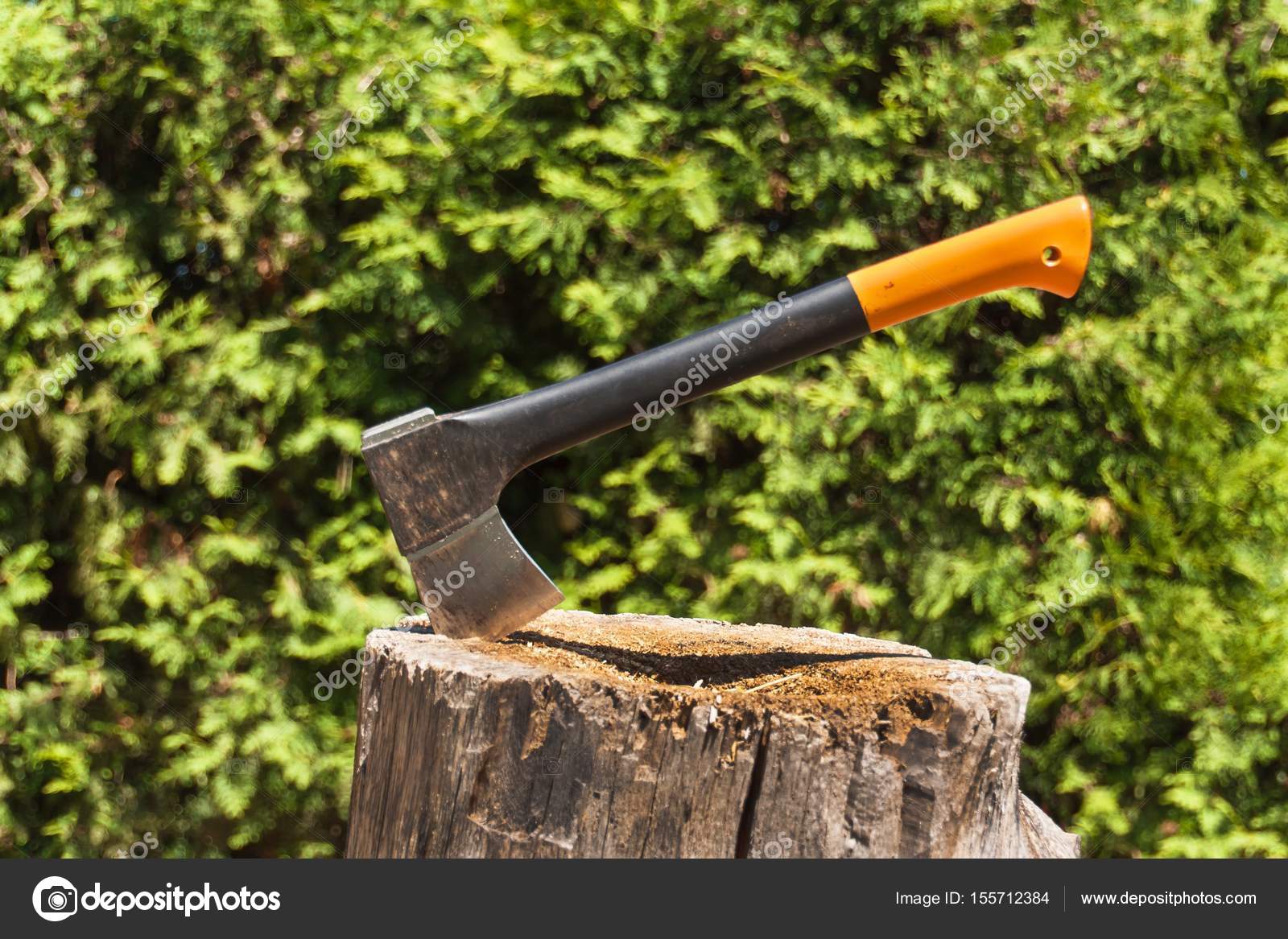 Axt Im Baumstumpf Axt Bereit Für Holzfällen Holzbearbeitung Tool