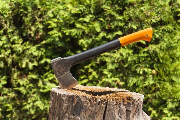 Axe in stump. Axe ready for cutting timber.Woodworking tool. Lumberjack axe in wood, chopping timber. Travel, adventure, camping gear, outdoors items.