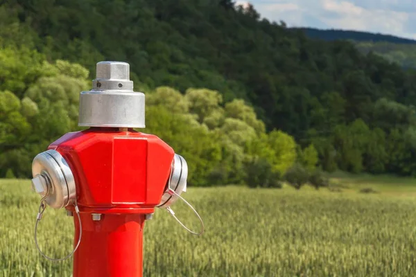 Red fire hydrant at the edge of a green field. — Stock Photo, Image