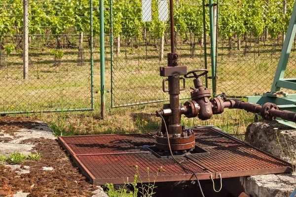 Extracción de aceite de buena calidad. Aceite de pozo de calabaza en el viñedo en la República Checa. Región del sur de Moravia . —  Fotos de Stock