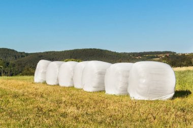 Saman balya ile kırsal manzara plastik filmde sarılmış. Saman balya plastik. Bir Tarım çiftliği yaz çalışmaları.
